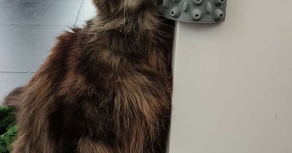 Cat scratch corner (can be filled with catnip!) by iluzion Download