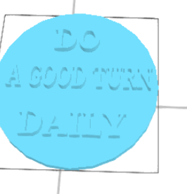 Boy Scout  coin