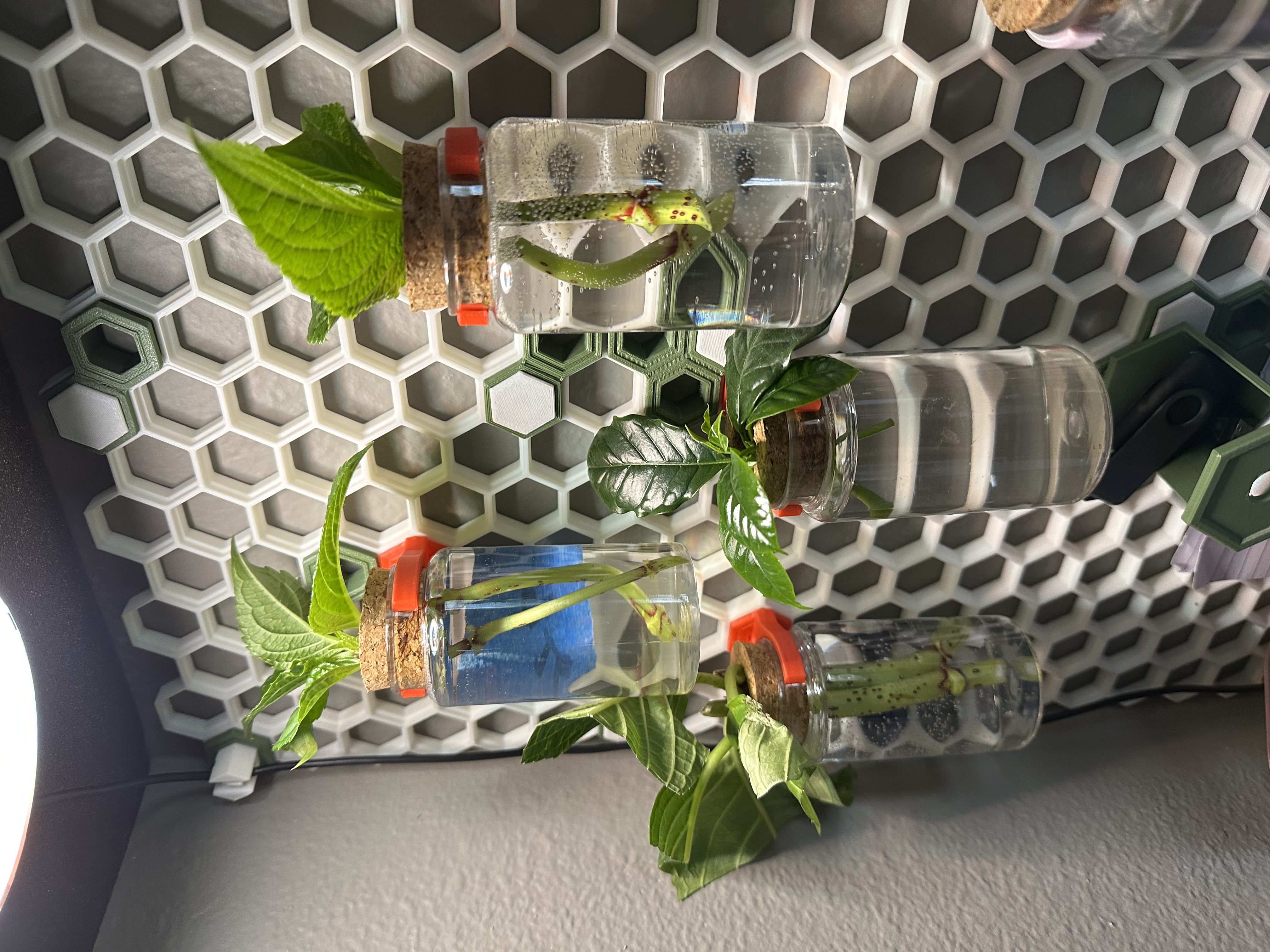 Propagation Tube Holder for HCW
