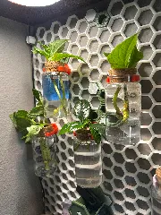 Propagation Tube Holder for HSW
