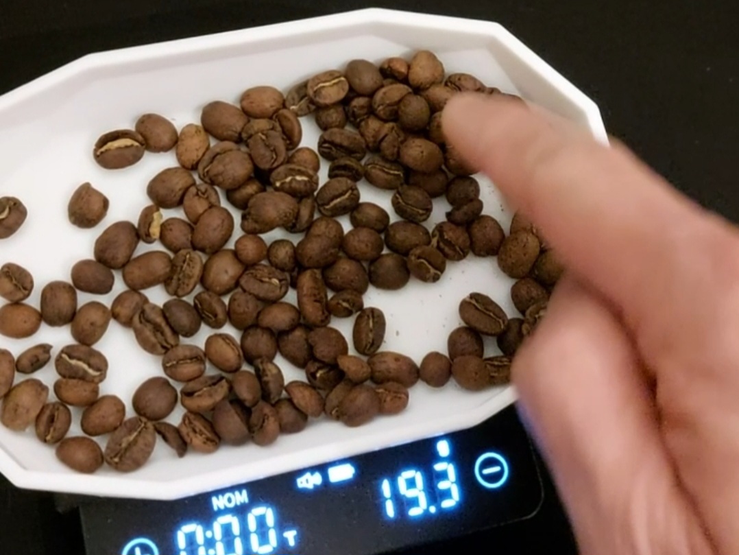 Low Poly Coffee Bean Tray 3D model thumbnail