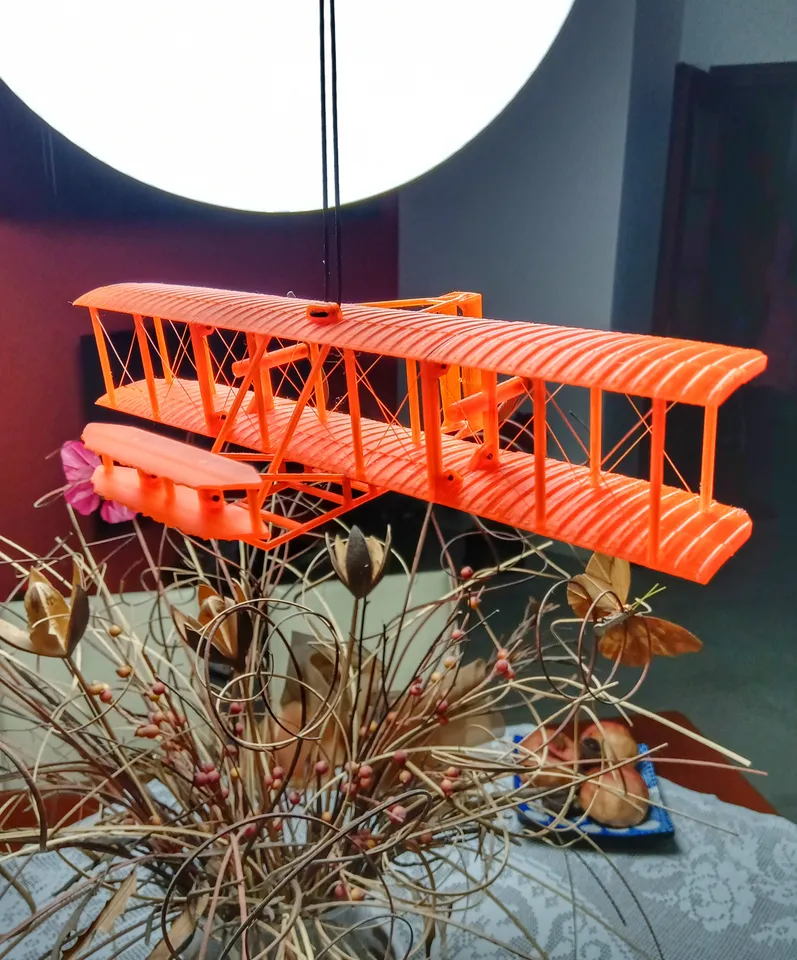 Wright Flyer I 1903 by morfaber78 | Download free STL model ...