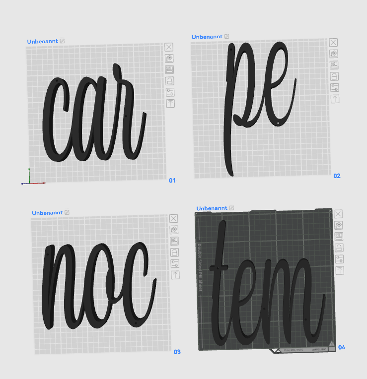 Wandschrift "Carpe noctem"