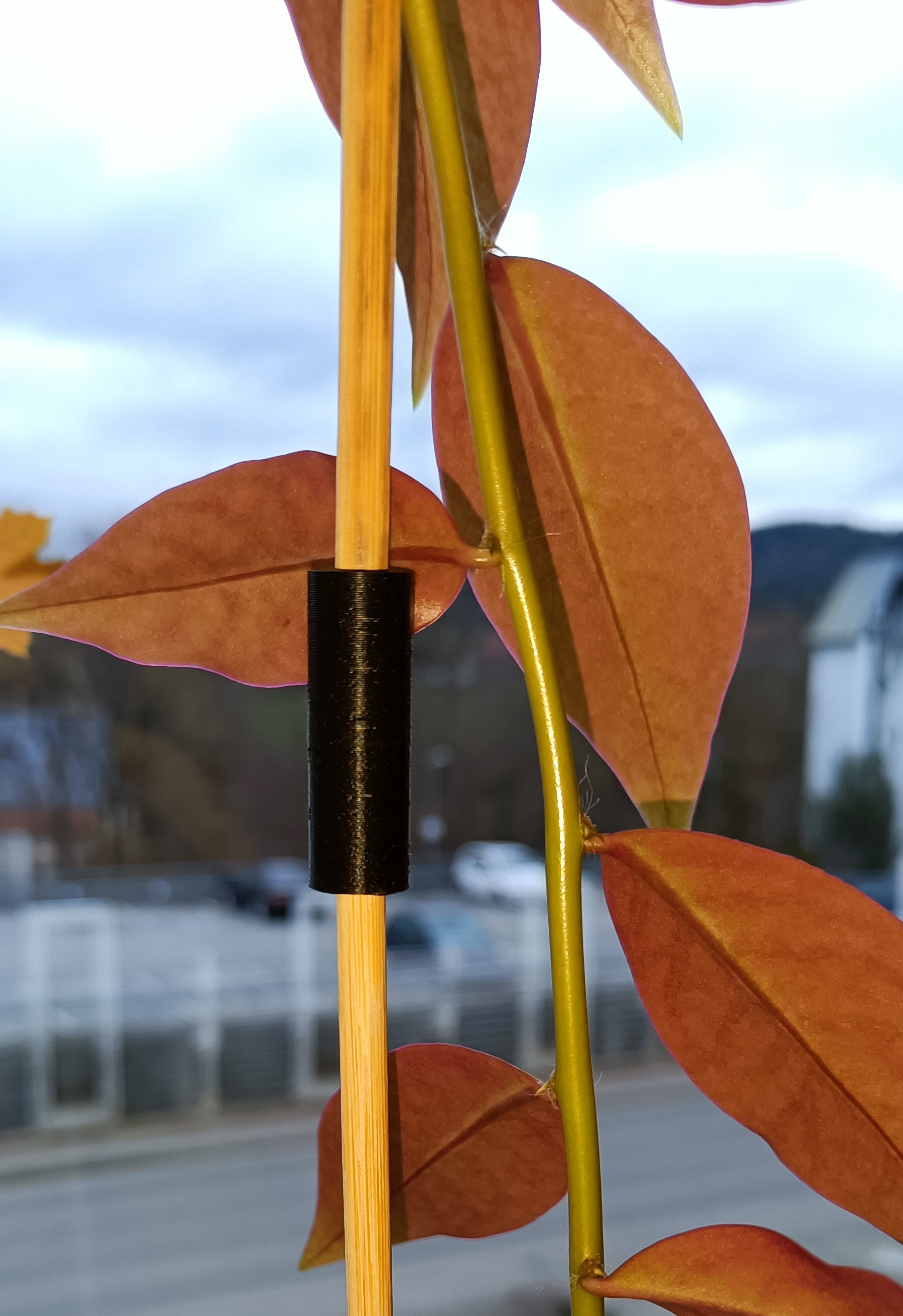 5mm Holzstabverbinder für Pflanzen