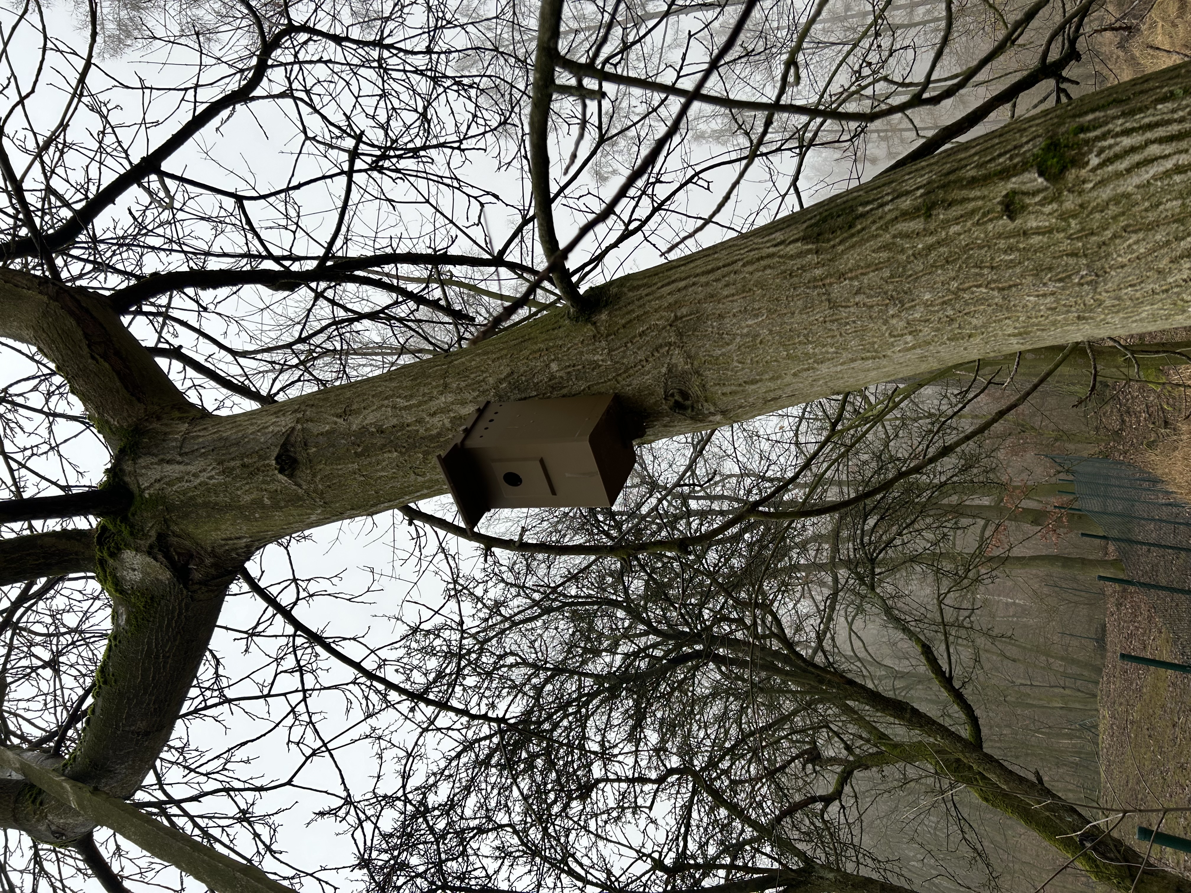 Birdhouse — thumbnail 2
