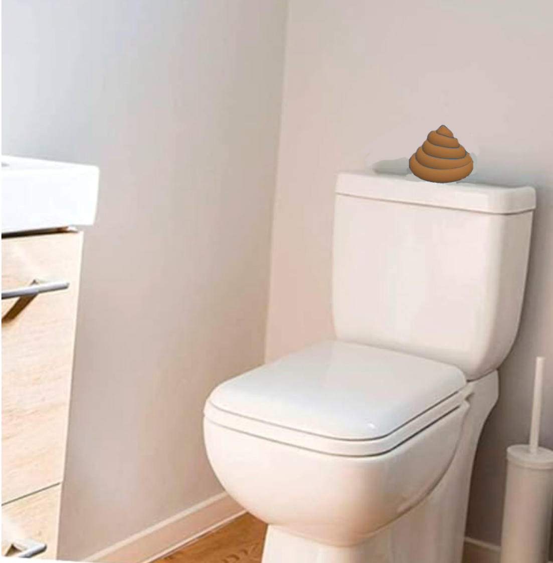 wc water down push or pull version for toilet