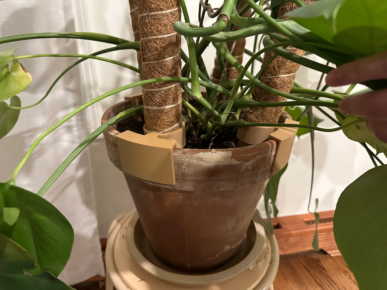 Moss Pole Support for Monstera Plant Pots by Joe | Download free STL model  | Printables.com