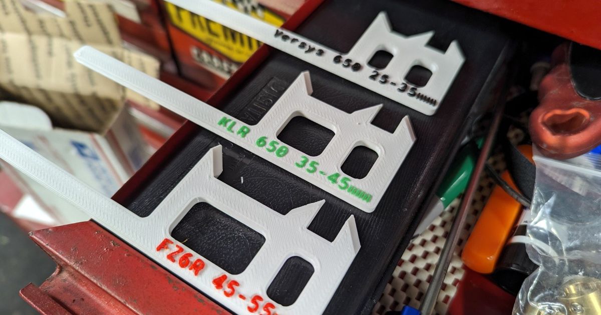 Motorcycle chain tension guides by Tsaro Download free STL model