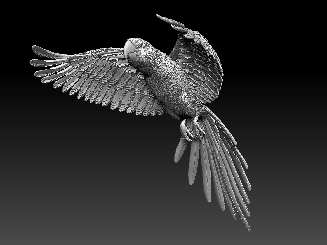 parrot