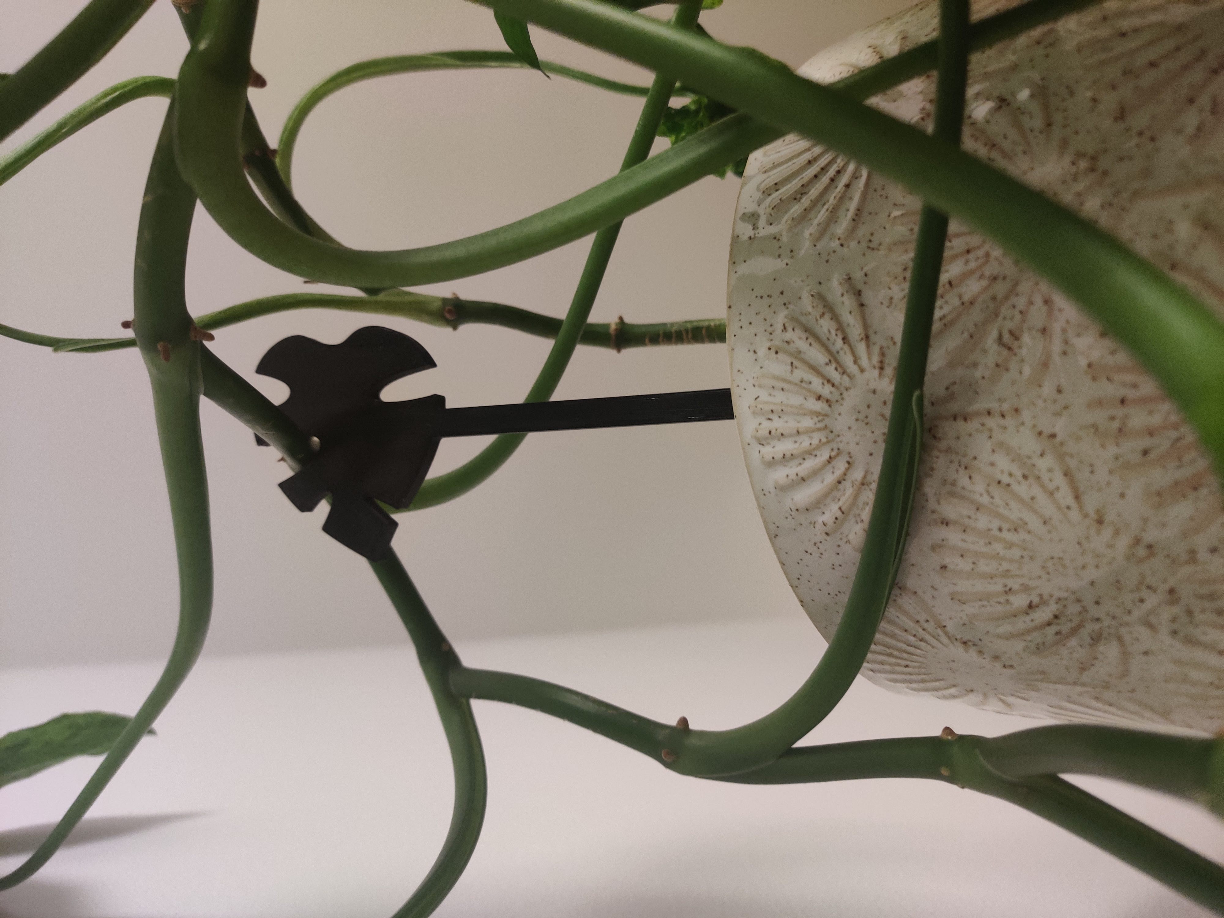 Plant leaf holder by k3dy Download free STL model