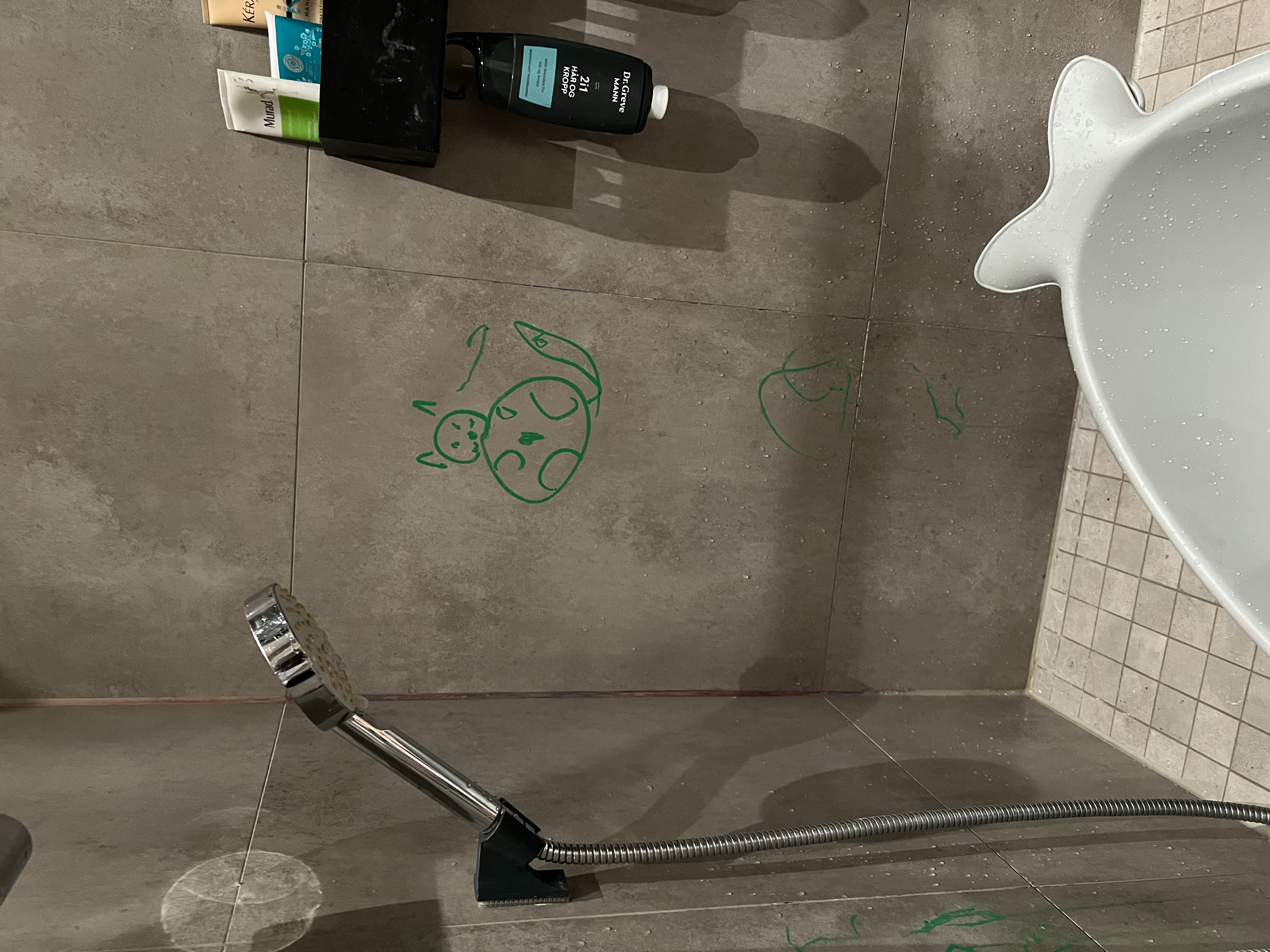 Childrens shower head holder