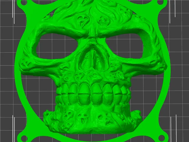 skull