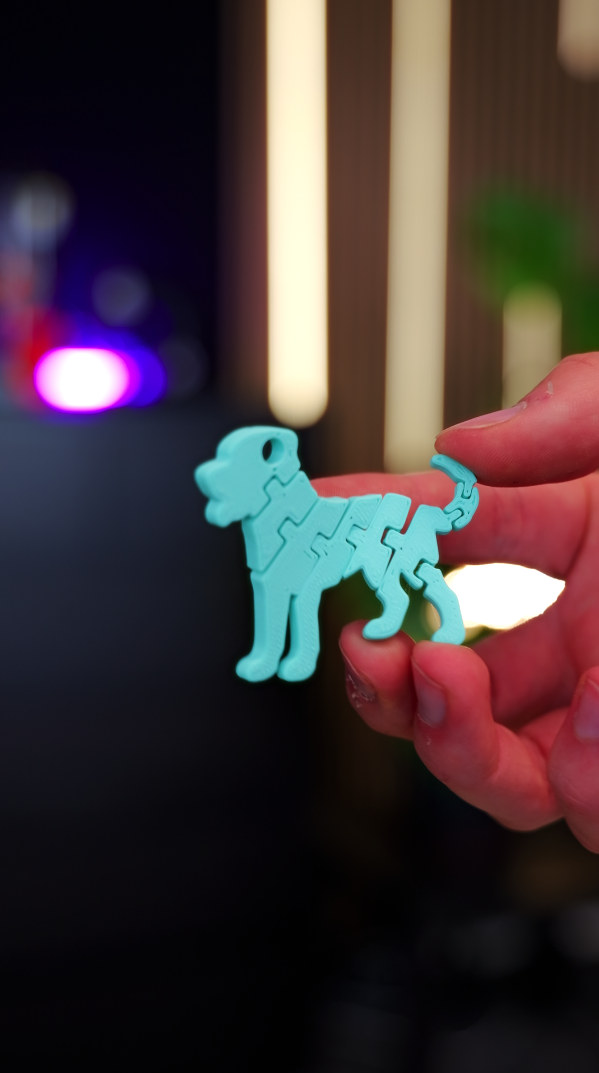 Miniatura 2 do modelo 3D FLEXI DOG