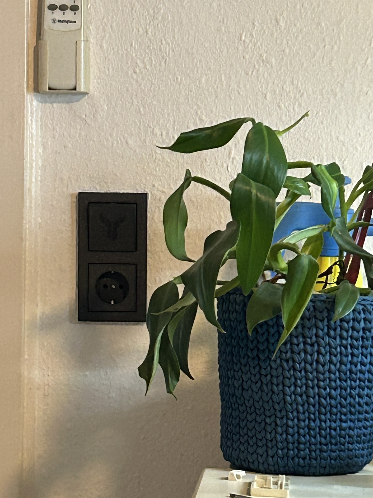 Jung LS 990 Light Switch Cover