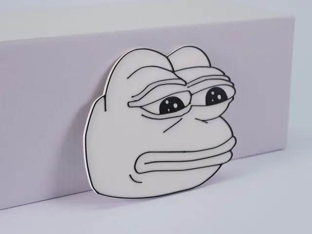 Sad Pepe Magnet