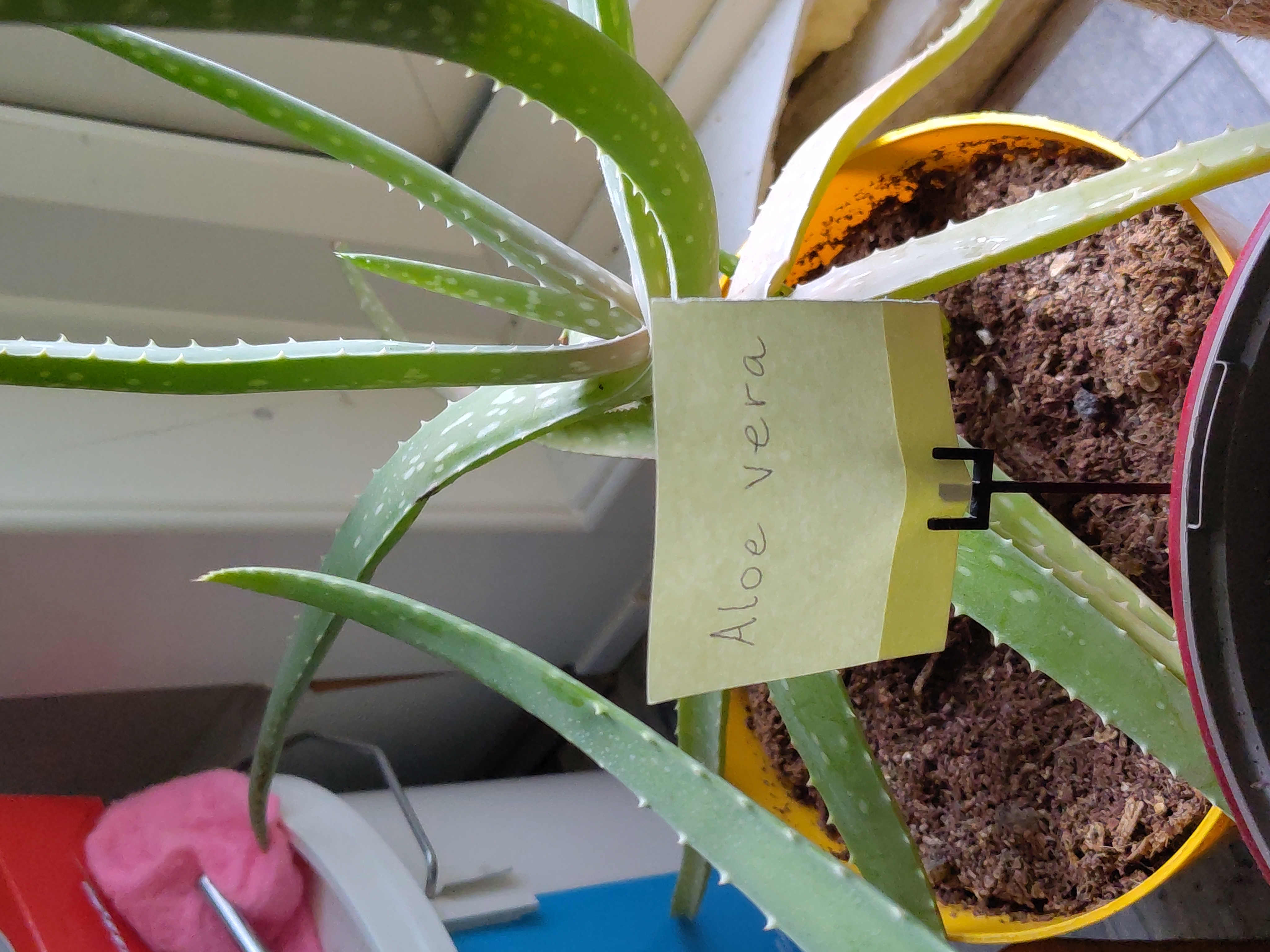 Plant Label Holder — thumbnail 2