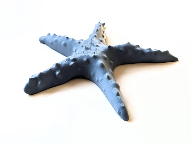 starfish