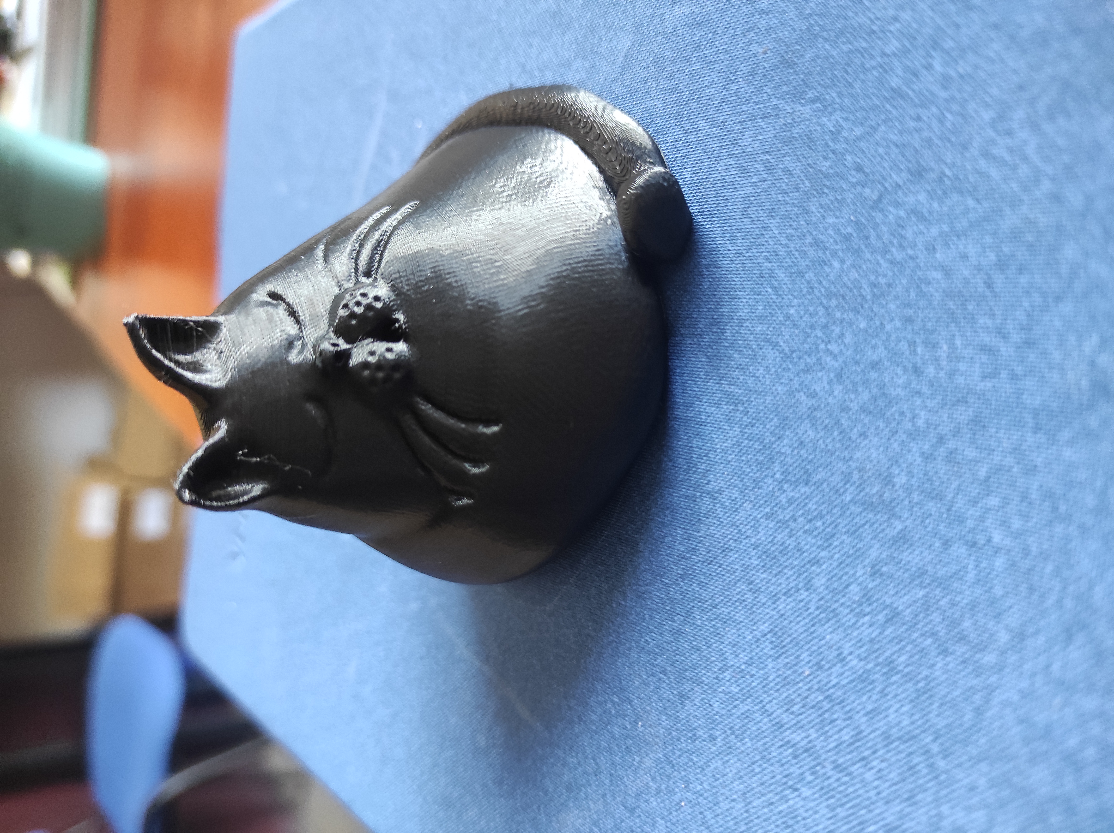 Miniatura 6 do modelo 3D Sleeping Chubby Cat