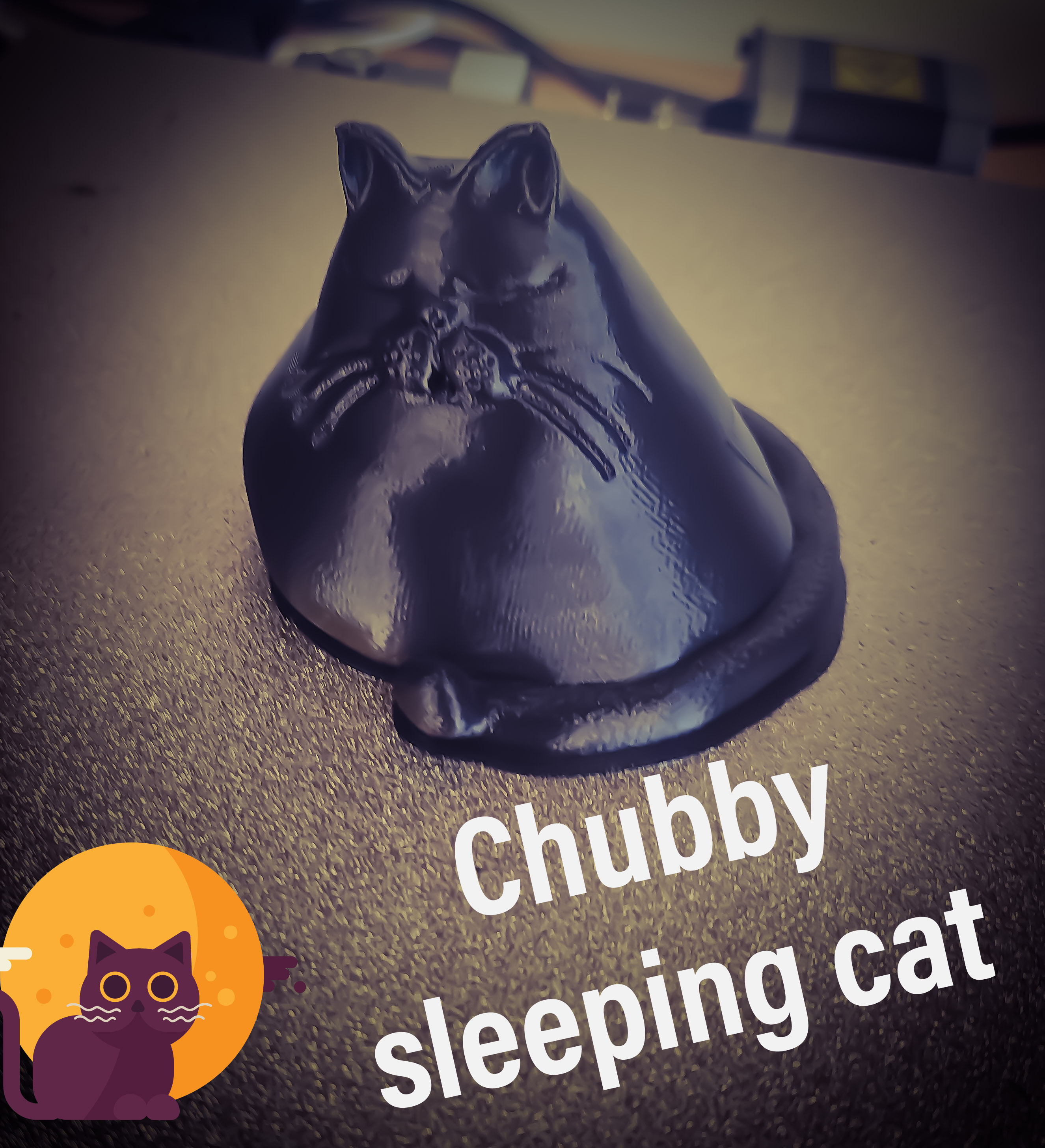 Sleeping Chubby Cat