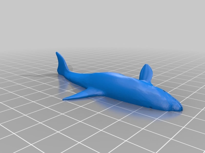 killer whale by Totof60 | Download free STL model | Printables.com