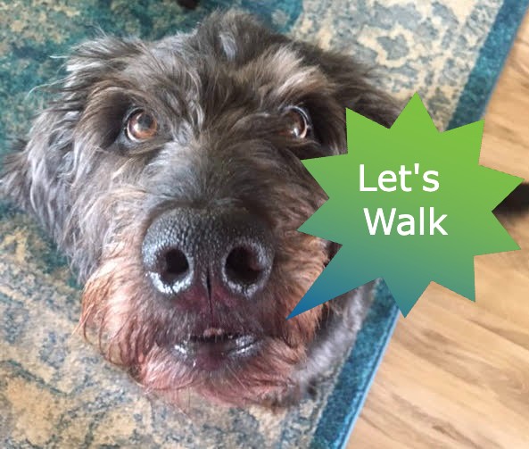 The PupArdrino Doggy Talker - Talk Box for your Pet - Arduino Project — miniatura 3
