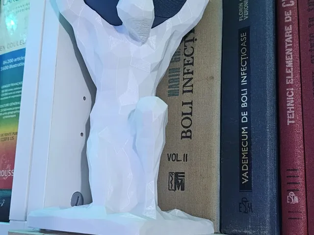 Amazon Alexa Atlas Holder