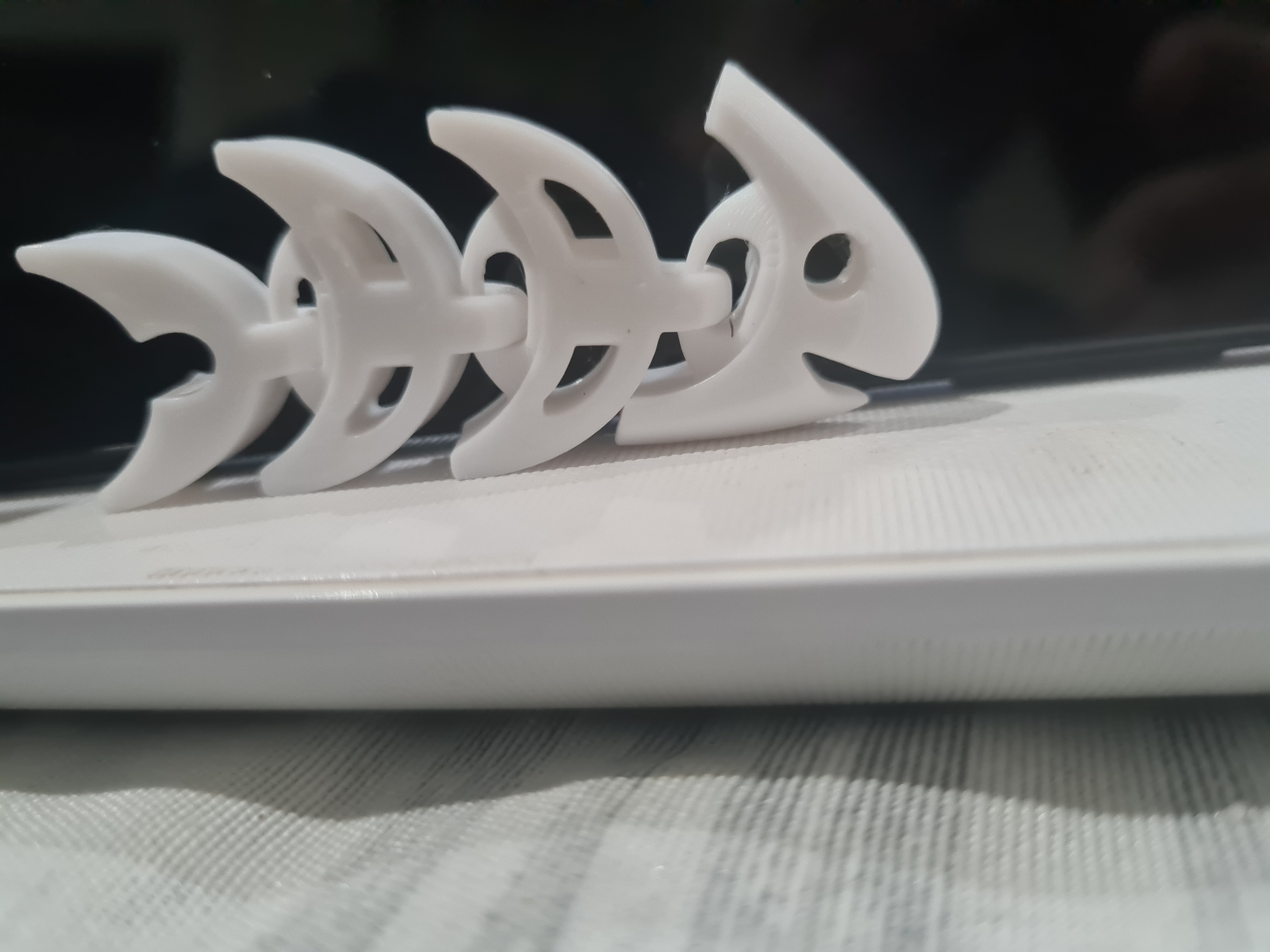 pez fosil — thumbnail 4