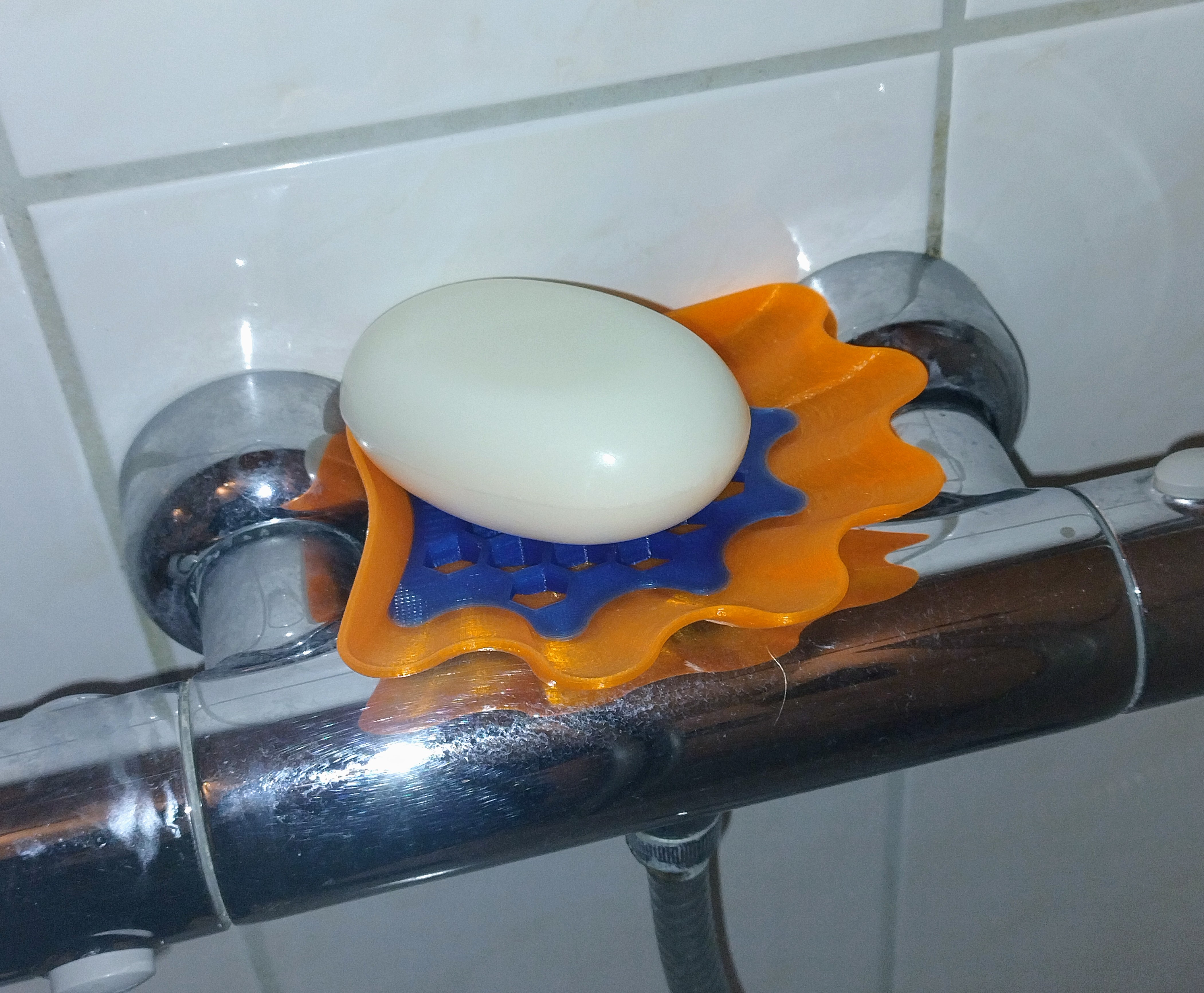 Seashell soapholder