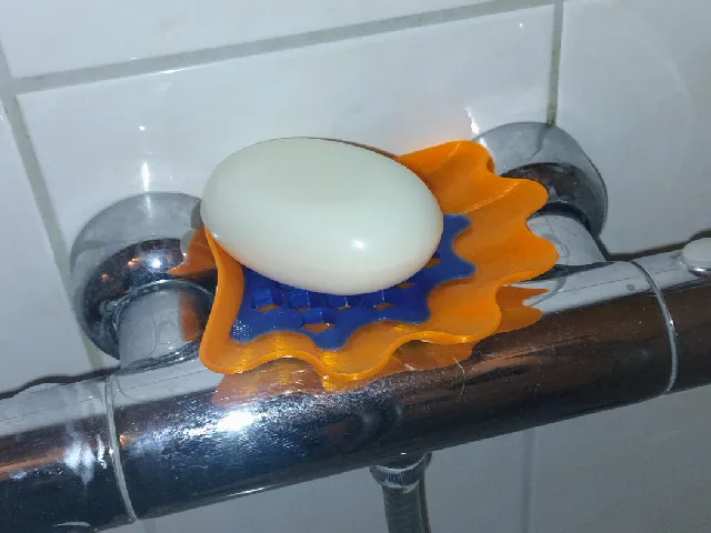 Seashell soapholder