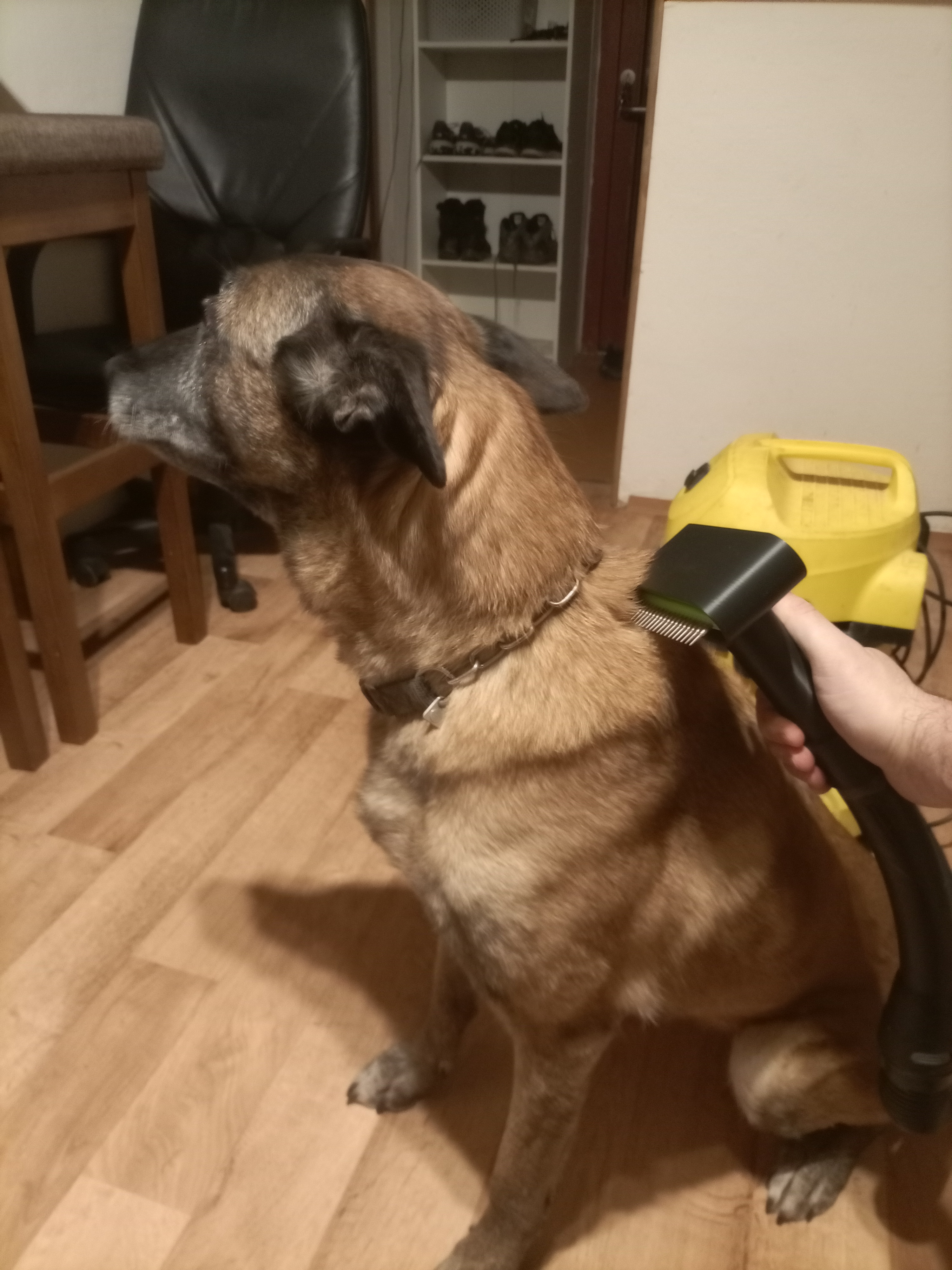 Comb for dogs (hřeben na psy)