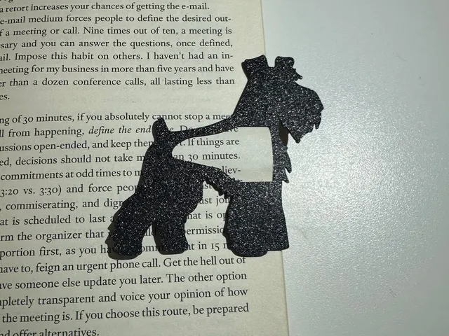 Schnauzer dog bookmark