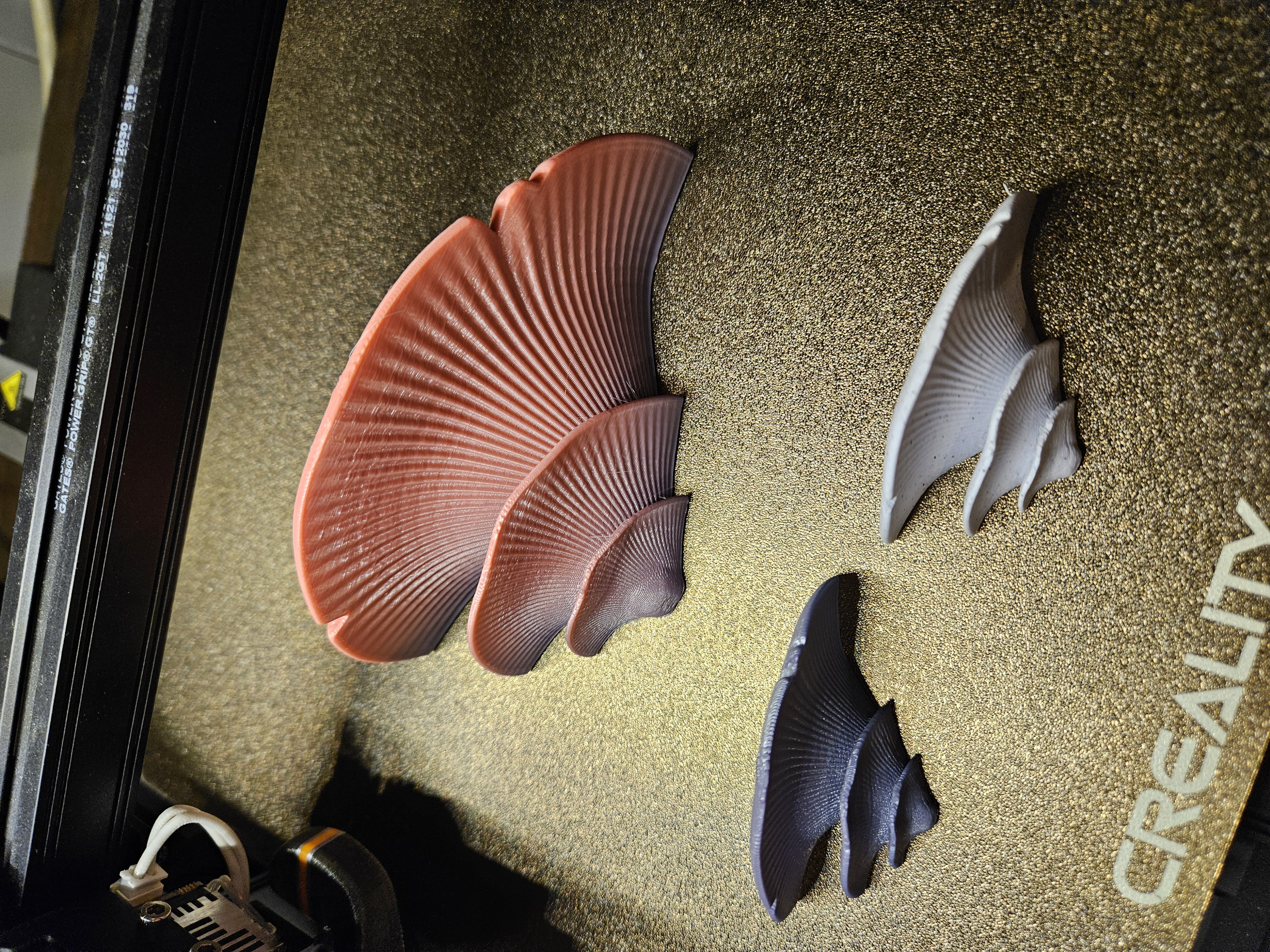 Shelf Mushroom Fridge Magnet 3D model thumbnail