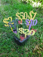 DOLLAR PRICE SIGNS FOR POT PLANTS