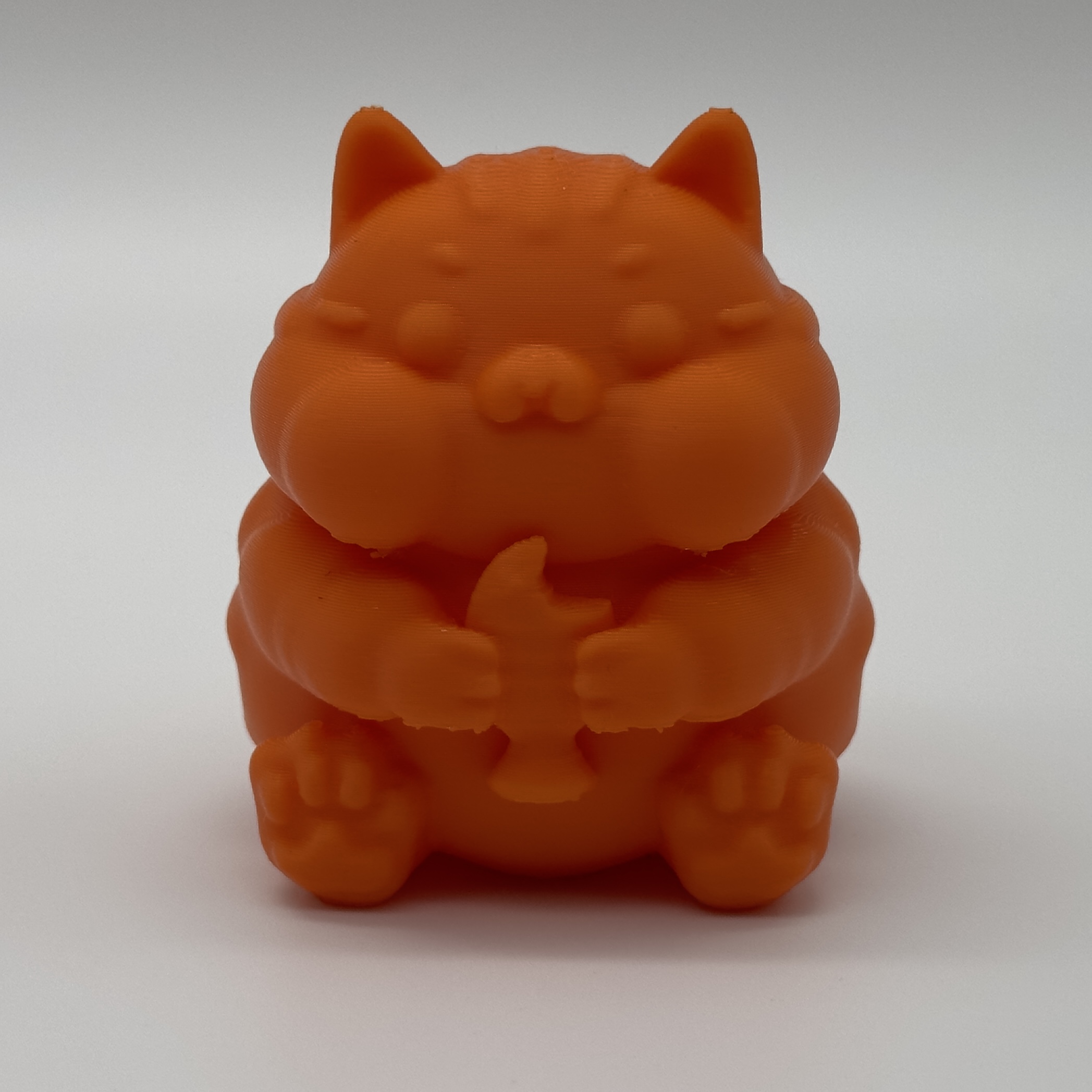 Cute Hungry Cat