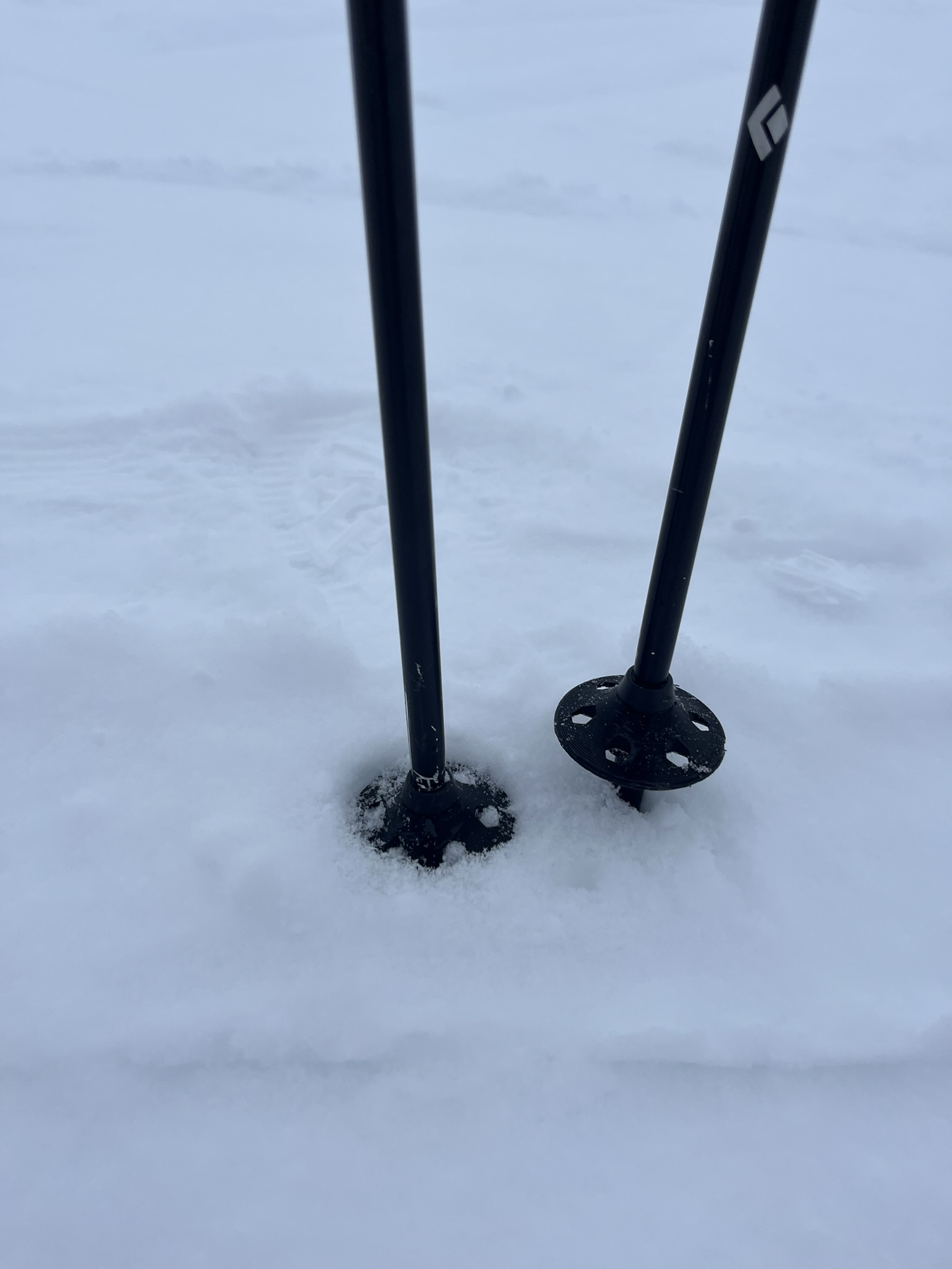 Black Diamond Ski Pole Basket by Bojack Horseman Download free STL