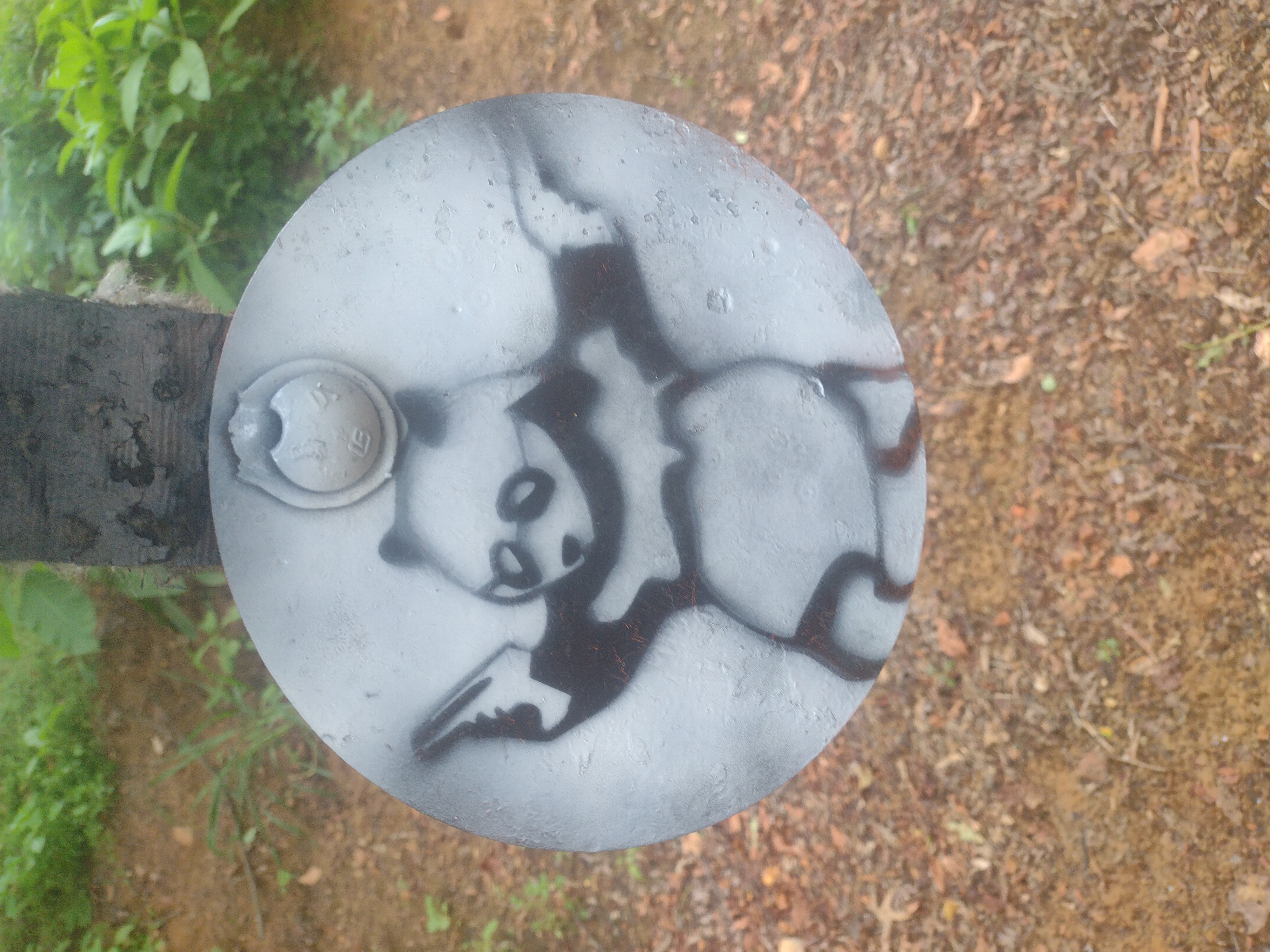 Target Stencil / Bear Arms