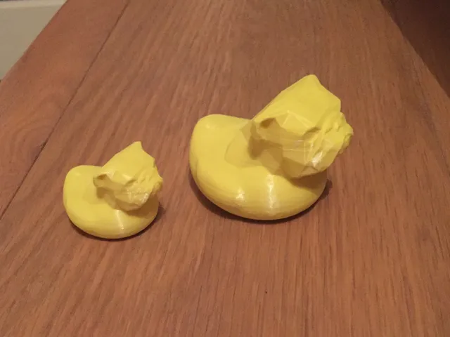 dog duck