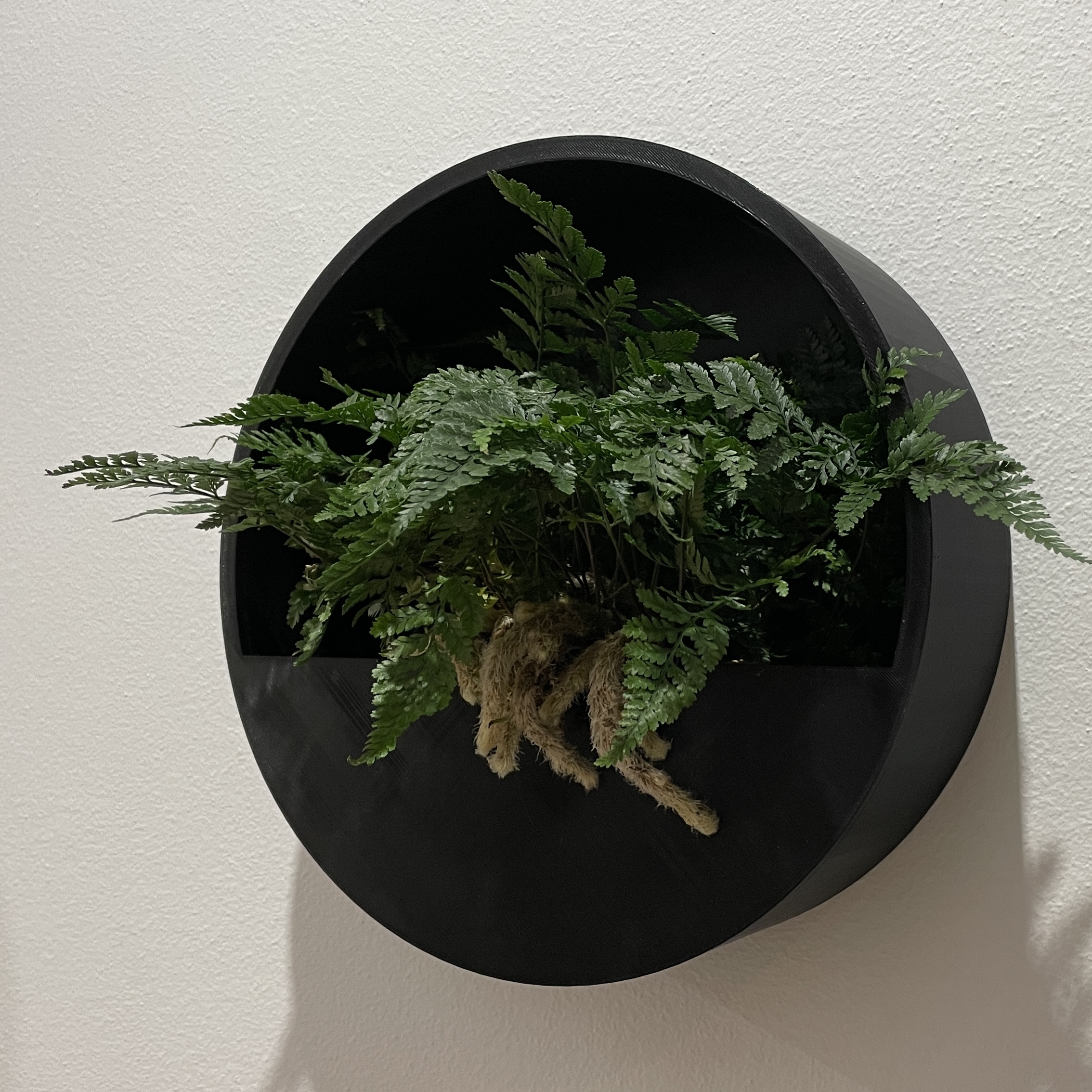 Wall Round Planter