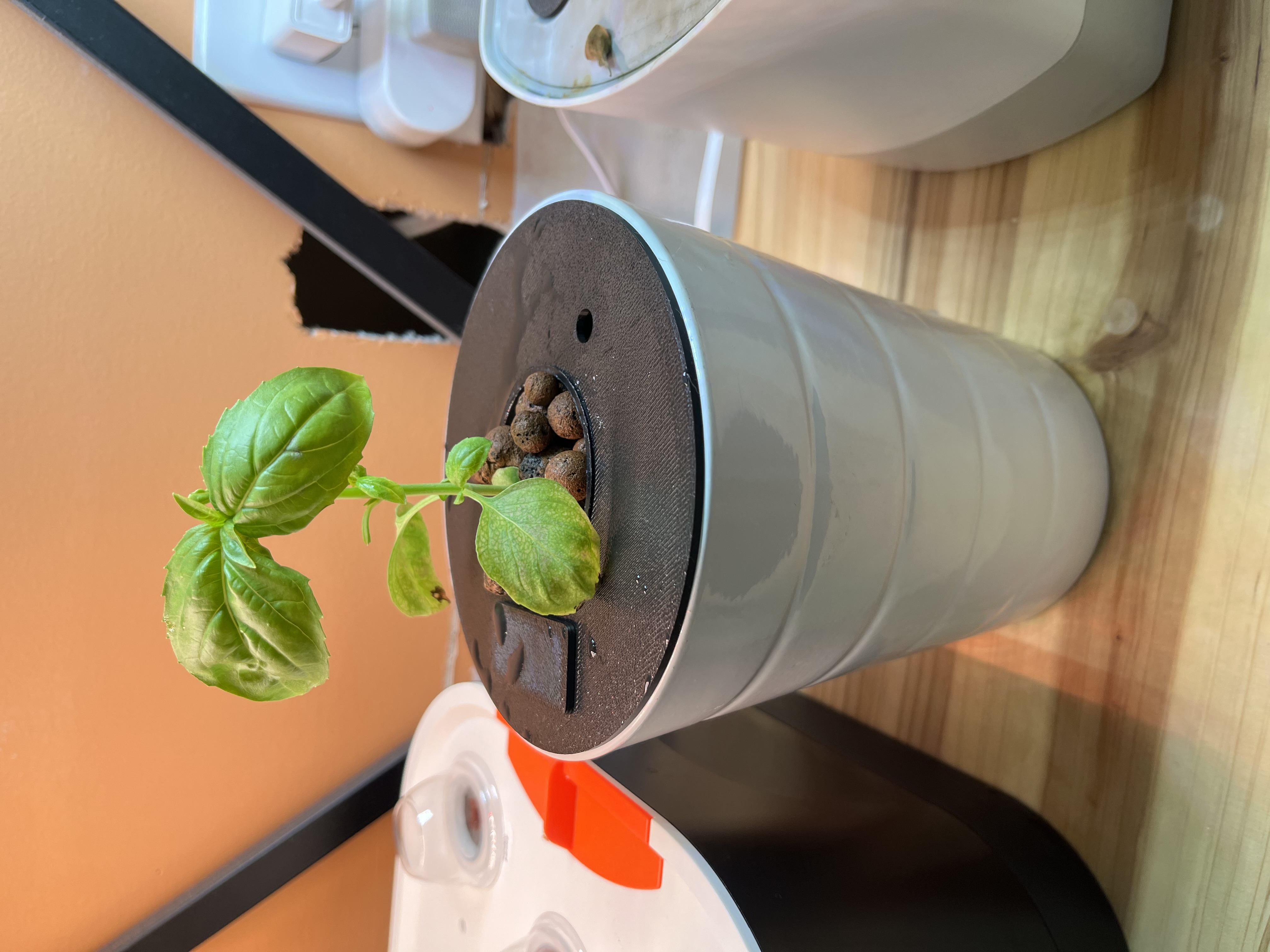 Deep Water Culture (DWC) / Kratky Netcup Plates with refill window