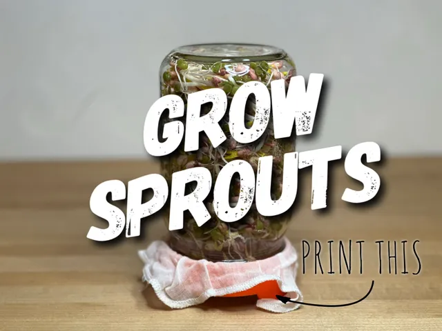 Seed Sprouting Lid for Wide Mouth Quart Jar