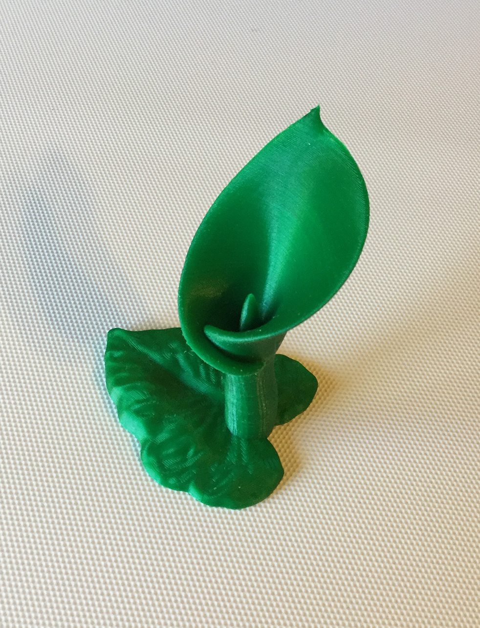 Miniatura 3 do modelo 3D Calla Lily