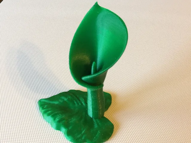 Calla Lily