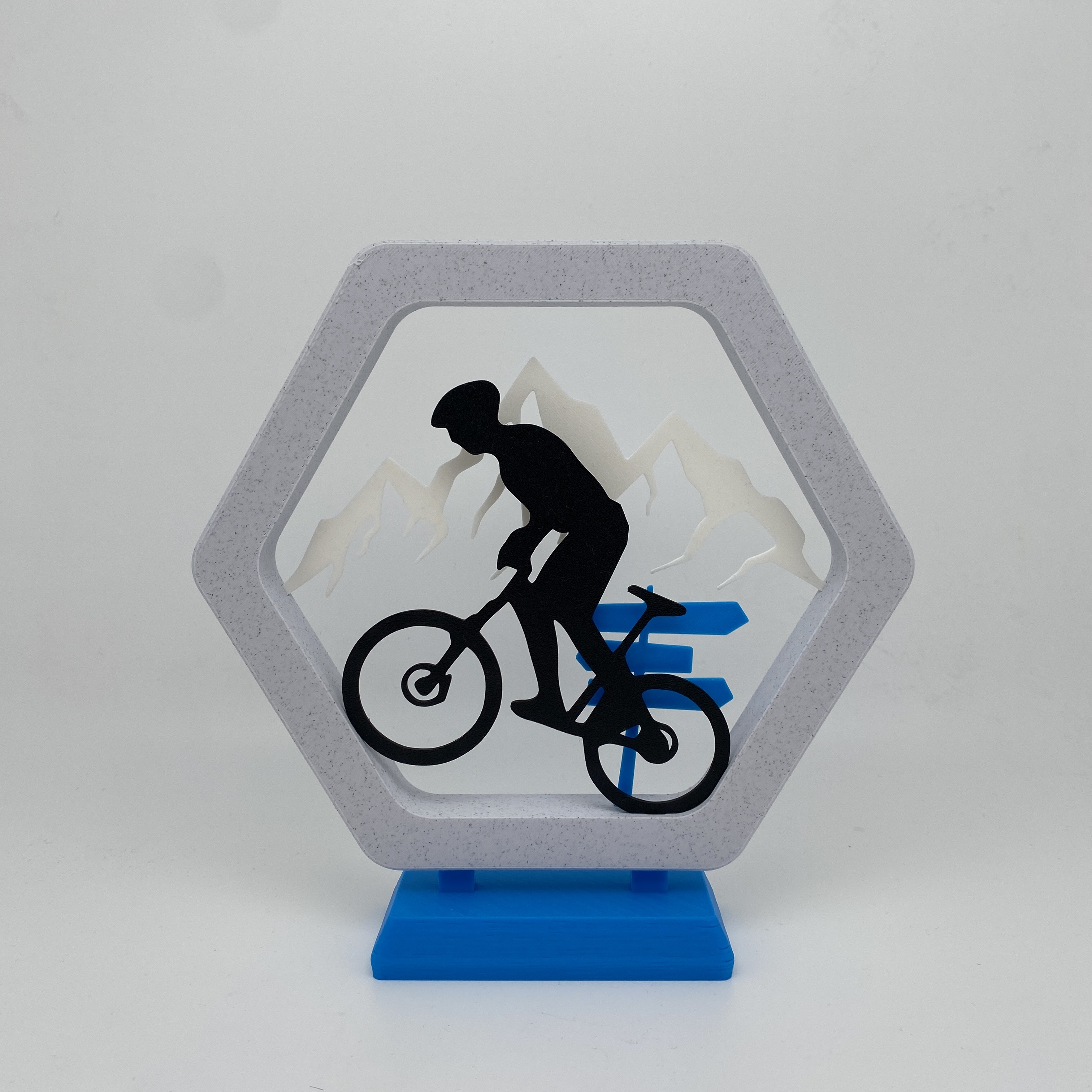 Mountain bike frame style