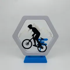Mountain bike frame style