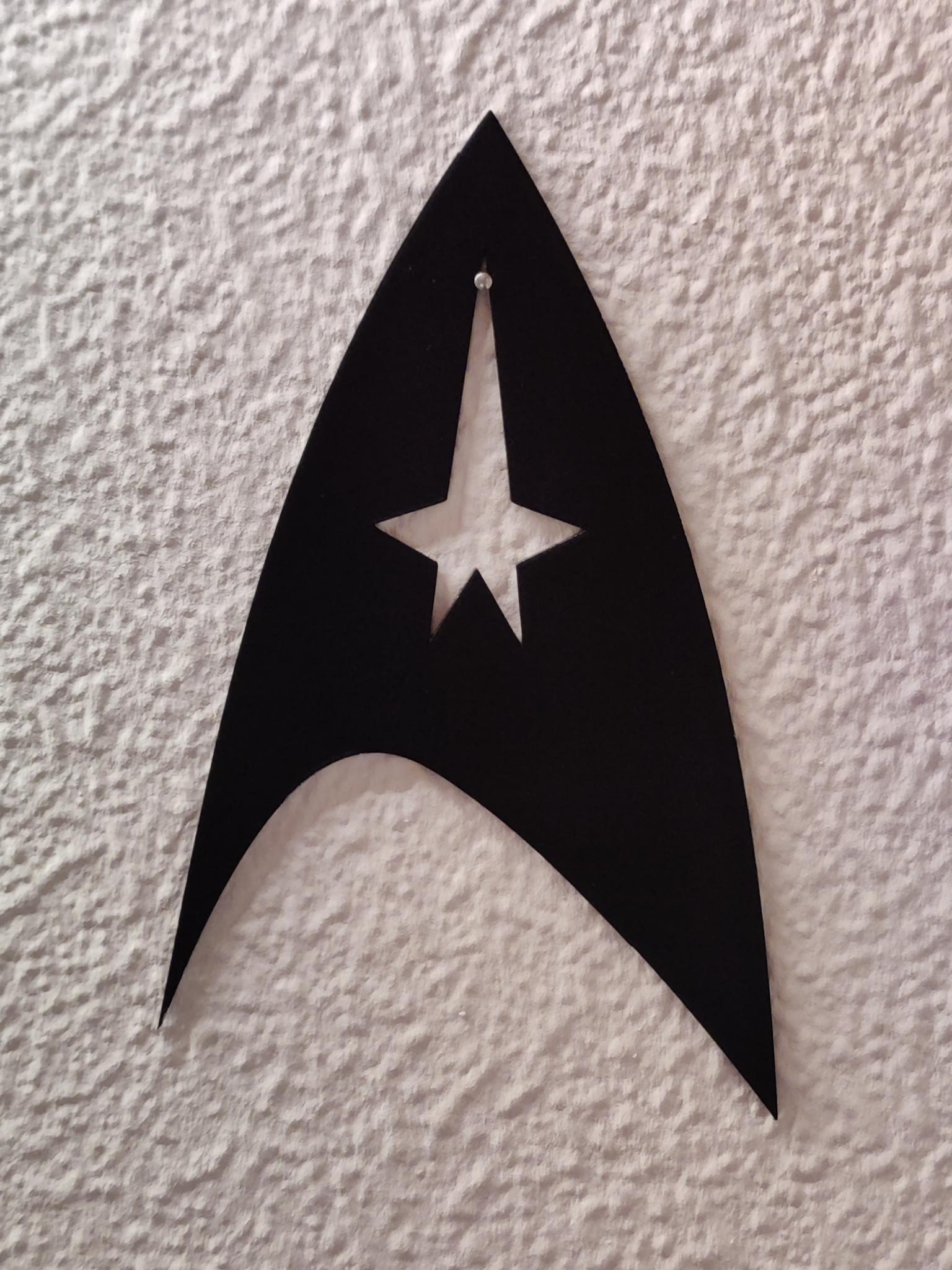 Star Trek logo decoration