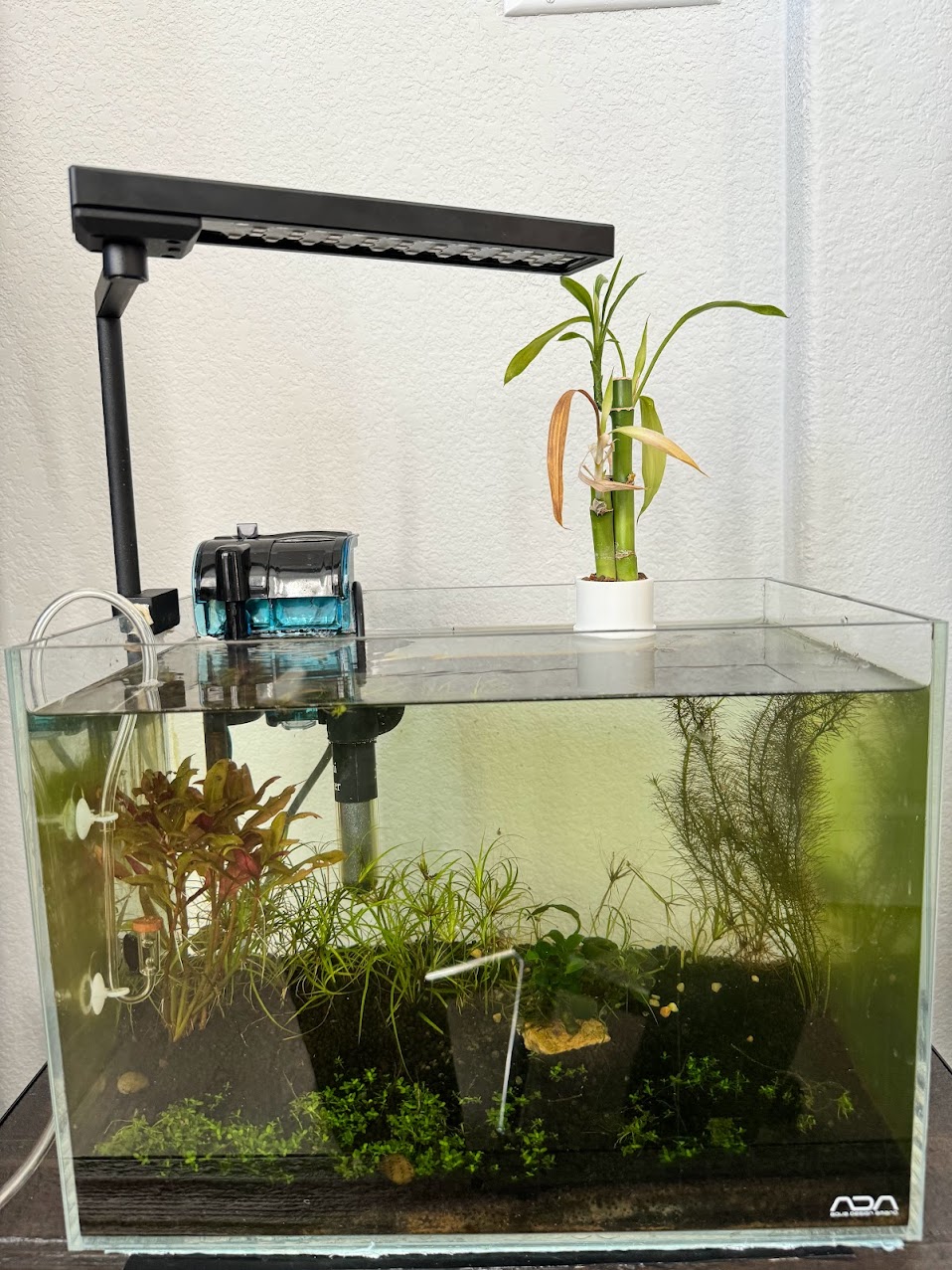 aquarium-plant-holder-by-anis-abdul-download-free-stl-model