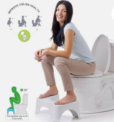 TOILET SUPPORT