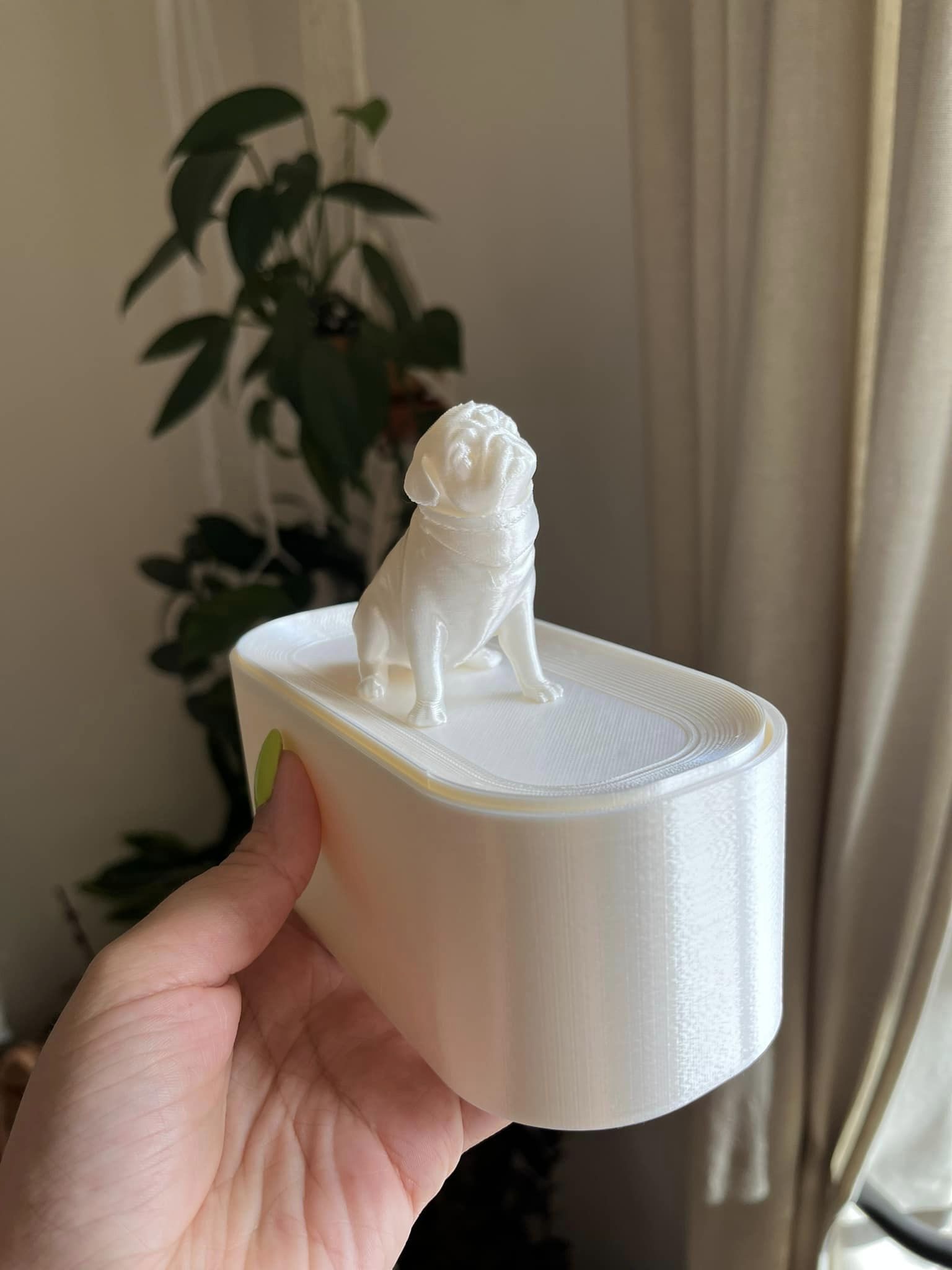 Pug jewelry outlet box