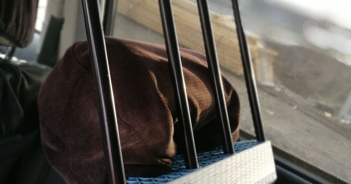 Car trunk grill by SE Download free STL model