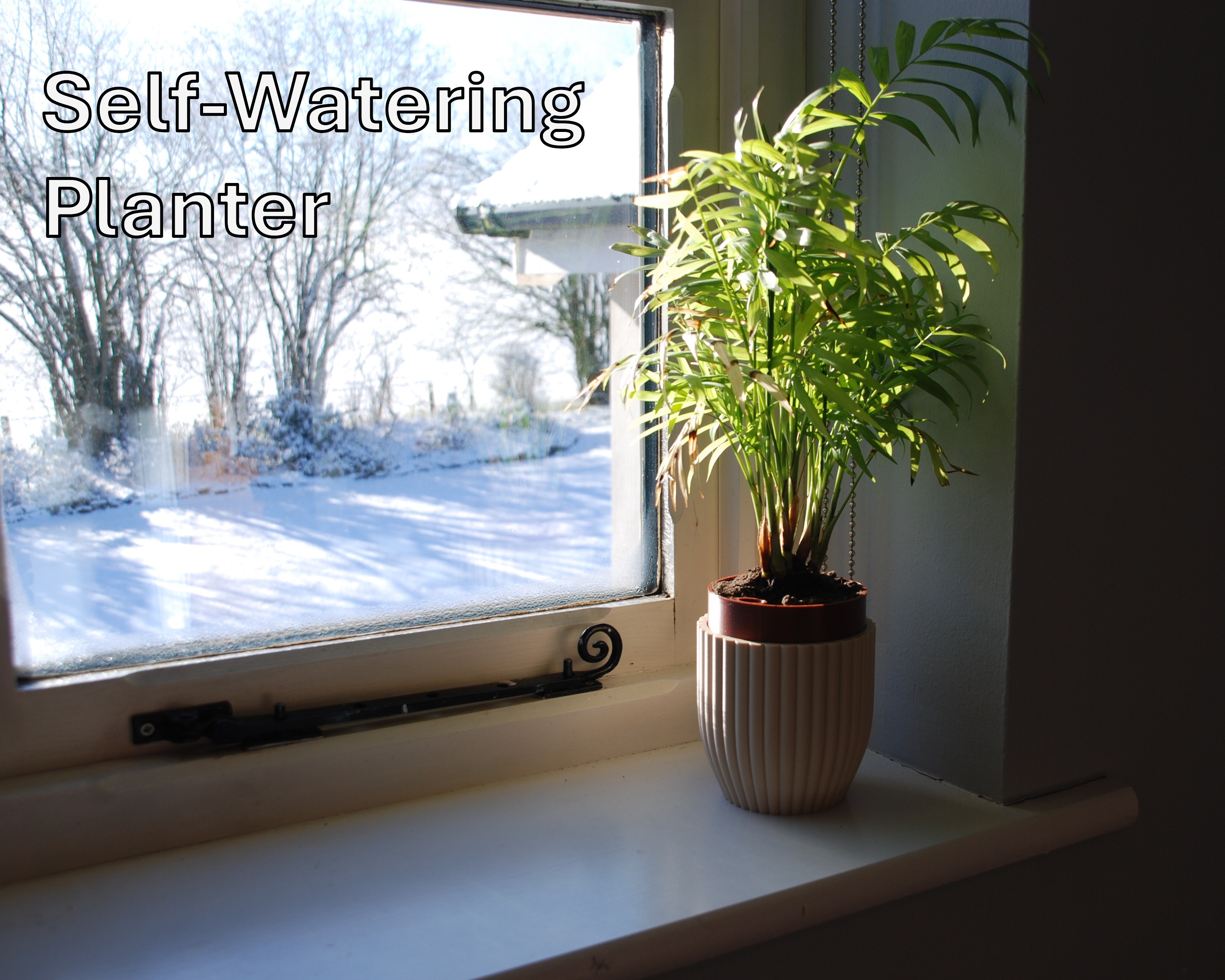 Self-Watering Planter